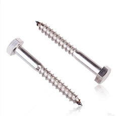 China Supplier DIN 571Galvanized or Stainless Steel A2 A4-70 A4-80SS304 SS316 Hex Head Wood Screw Lag Bolt