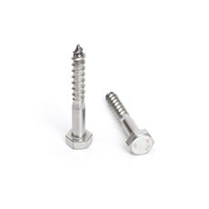 China Supplier DIN 571Galvanized or Stainless Steel A2 A4-70 A4-80SS304 SS316 Hex Head Wood Screw Lag Bolt China Supplier DIN 571Galvanized or Stainless Steel A2 A4-70 A4-80SS304 SS316 Hex Head Wood Screw Lag Bolt