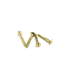 Hot selling galvanized drywall screw self tapping screw wood screws